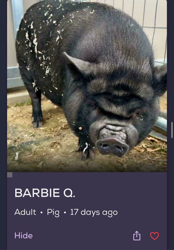 Justice For Barbie Q