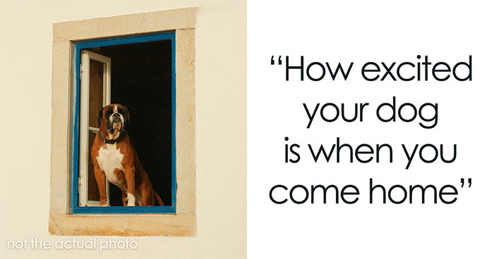 Wait, They Actually Ranked The Smallest Joys That Make Life Awesome?