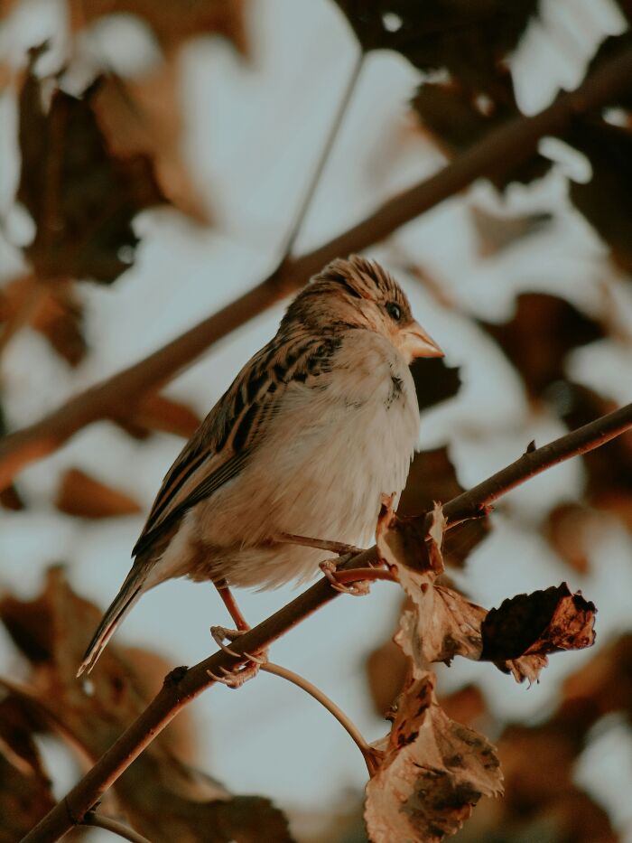 Wait, They Actually Ranked The Smallest Joys That Make Life Awesome?