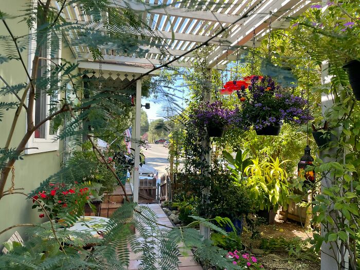 Wait, They Actually Ranked The Smallest Joys That Make Life Awesome?