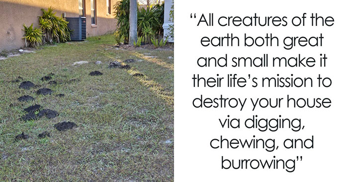 Wait, They Actually Ranked Those Wild Homeowner Realities?!