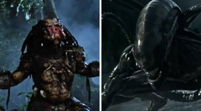 Spend one scary night hunted by Predator or hiding from Xenomorph on a spaceship?