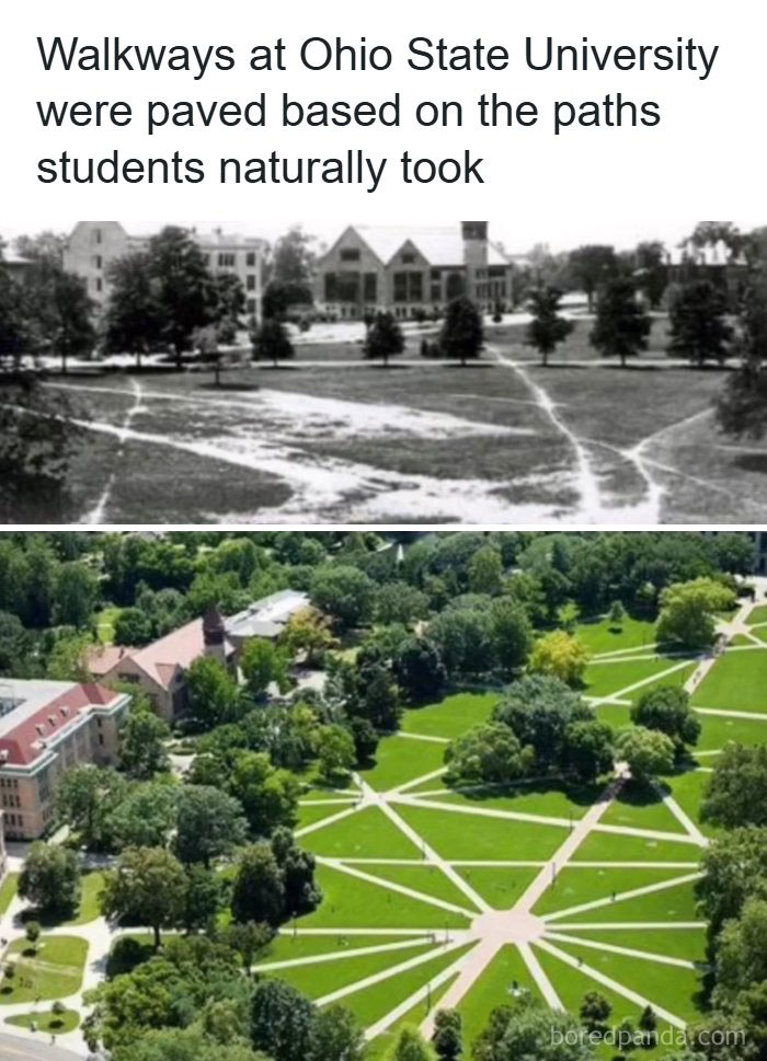 A Goat’s Desire Path? Well, This Is Wild!