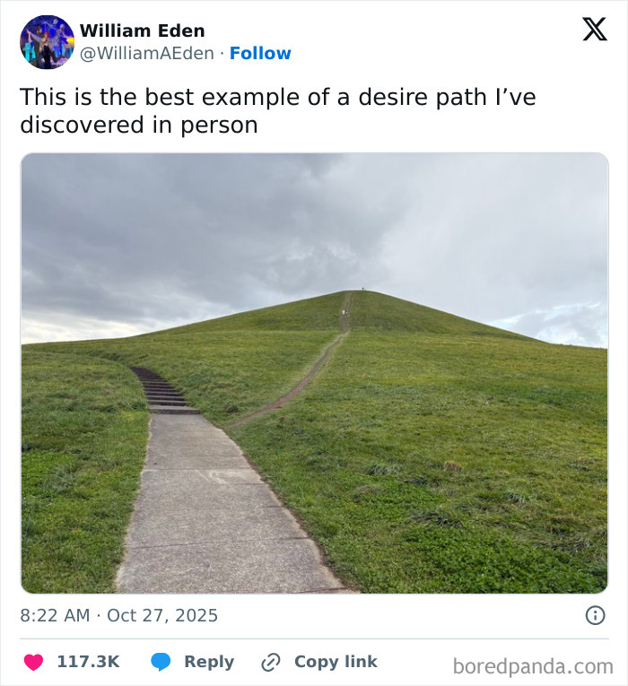 I’m So Curious What That View Looks Like Up There!