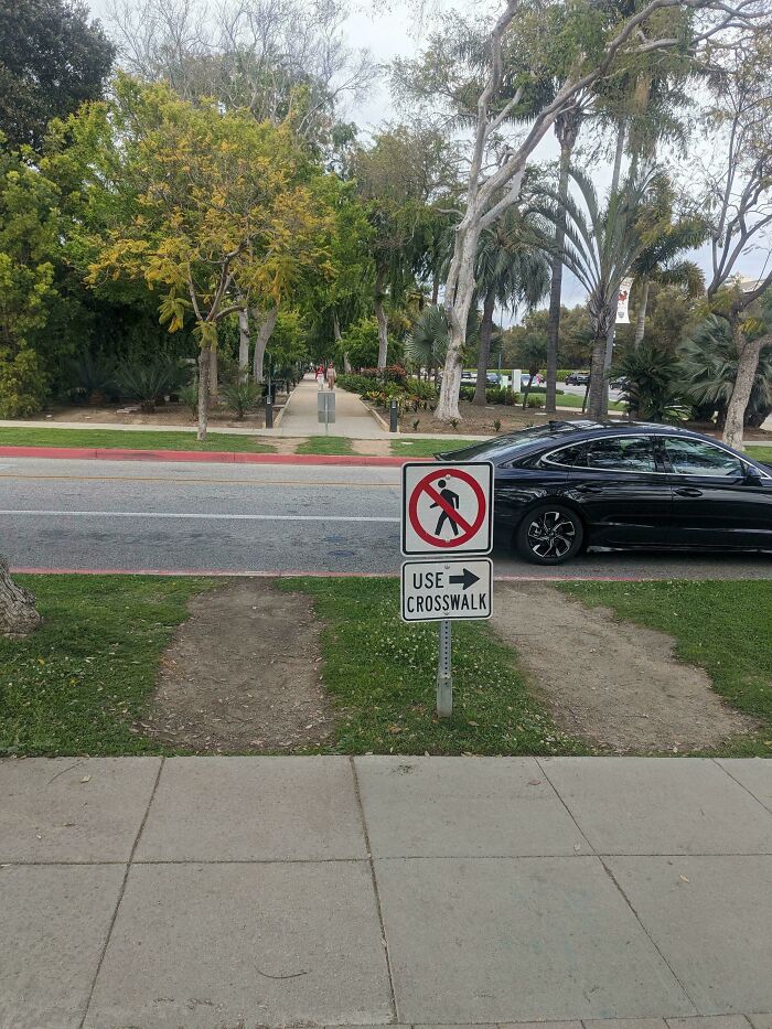 Wait, People Just Make Their Own Sidewalks? Here Are 94 Hilarious Desire Paths
