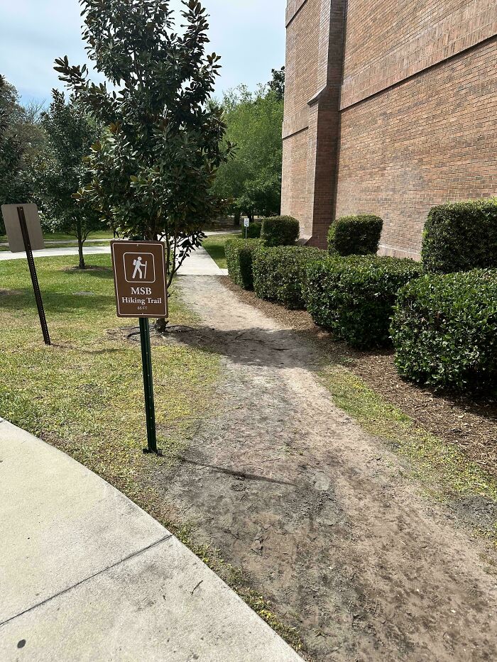 Wait, People Just Make Their Own Sidewalks? Here Are 94 Hilarious Desire Paths