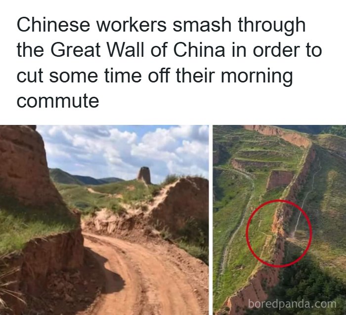 Wait, People Just Make Their Own Sidewalks? Here Are 94 Hilarious Desire Paths