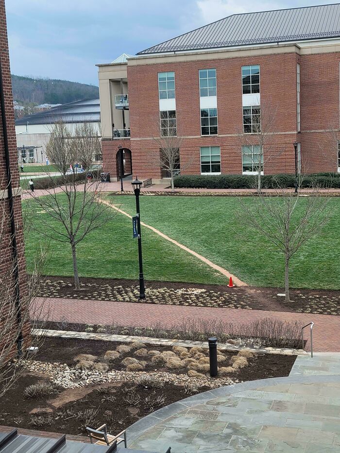 Wait, People Just Make Their Own Sidewalks? Here Are 94 Hilarious Desire Paths