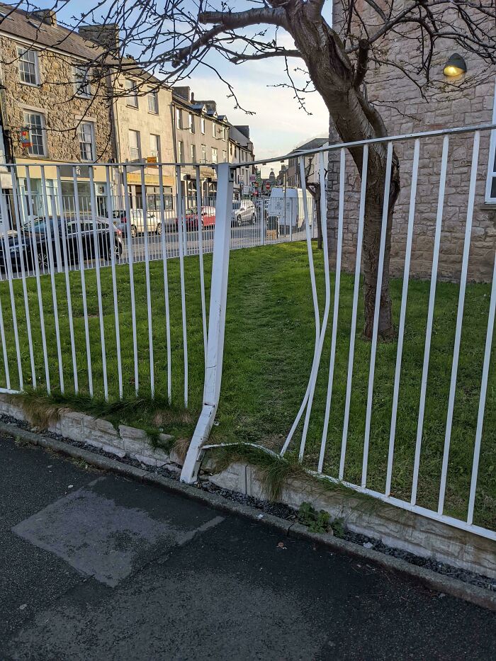 Wait, People Just Make Their Own Sidewalks? Here Are 94 Hilarious Desire Paths