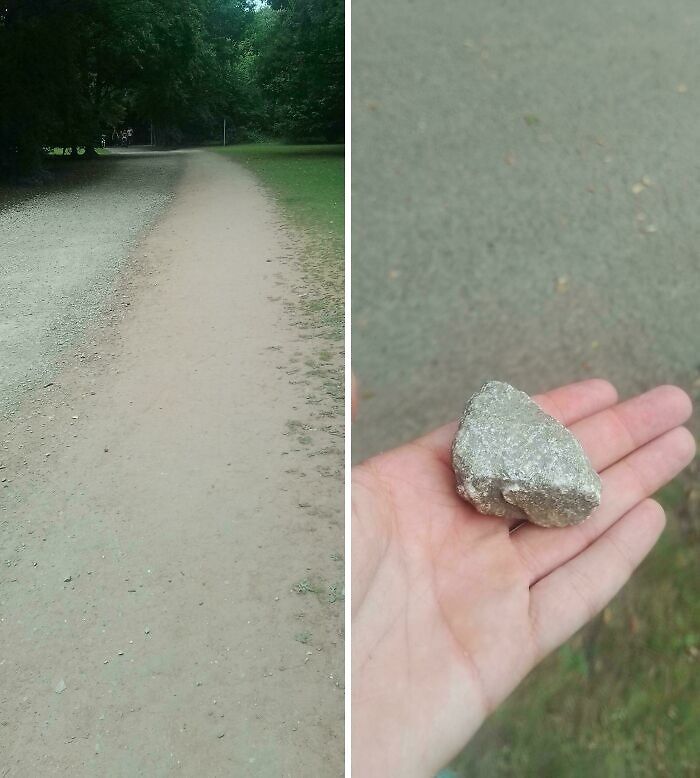 Wait, People Just Make Their Own Sidewalks? Here Are 94 Hilarious Desire Paths