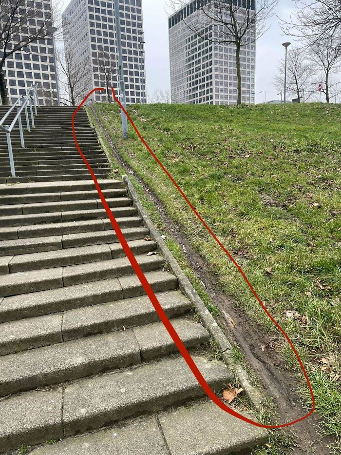 Wait, People Just Make Their Own Sidewalks? Here Are 94 Hilarious Desire Paths