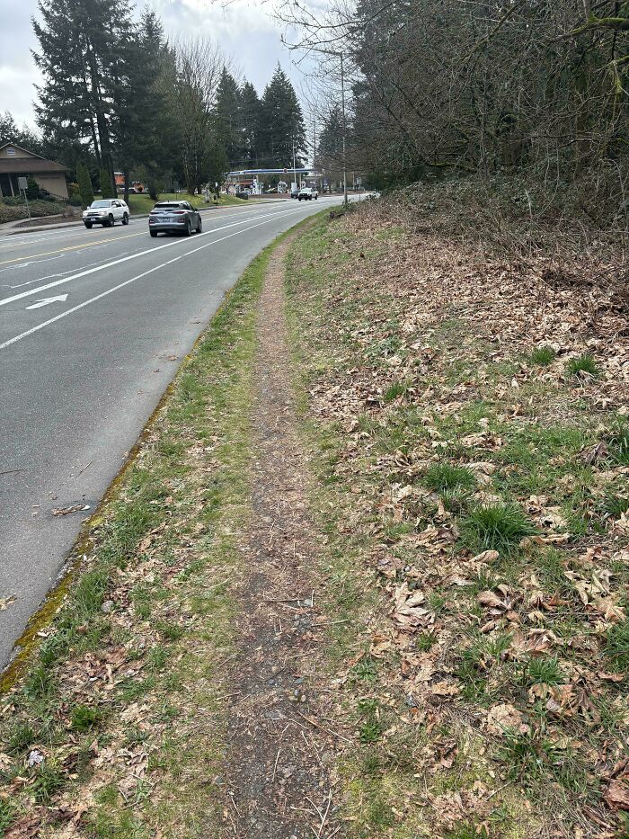 Wait, People Just Make Their Own Sidewalks? Here Are 94 Hilarious Desire Paths