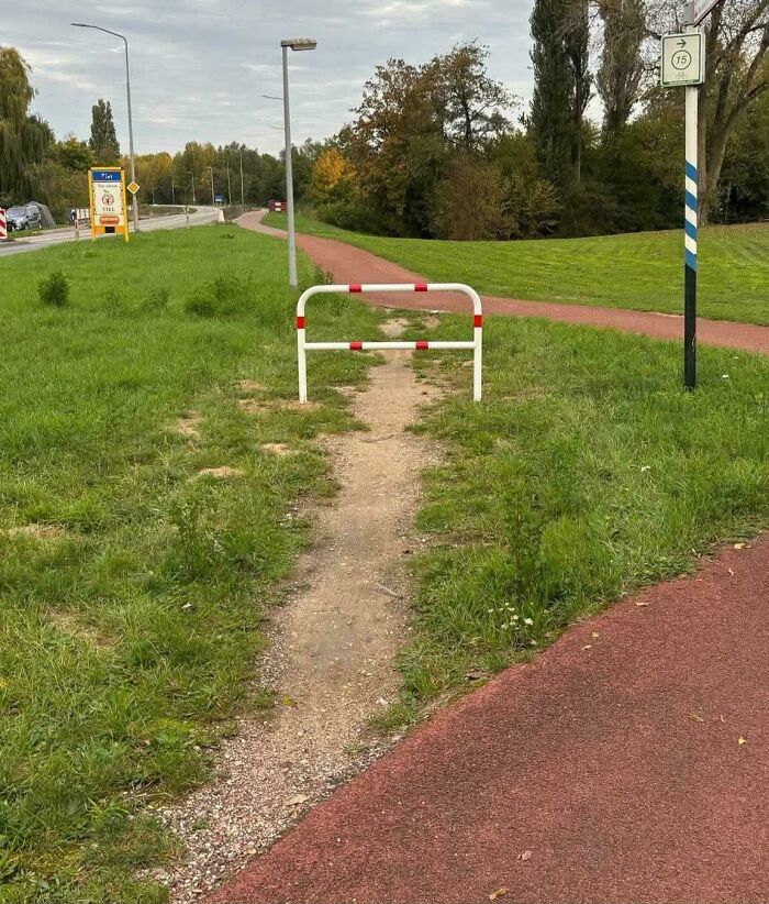 Wait, People Just Make Their Own Sidewalks? Here Are 94 Hilarious Desire Paths
