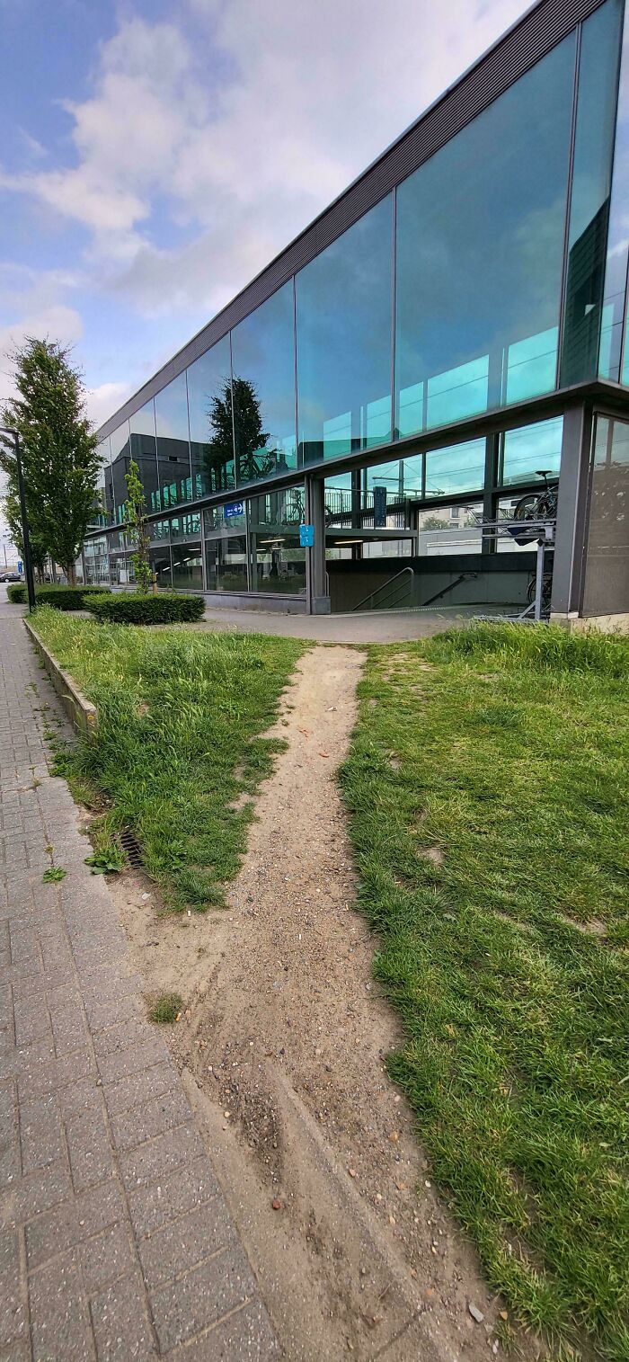 Wait, People Just Make Their Own Sidewalks? Here Are 94 Hilarious Desire Paths