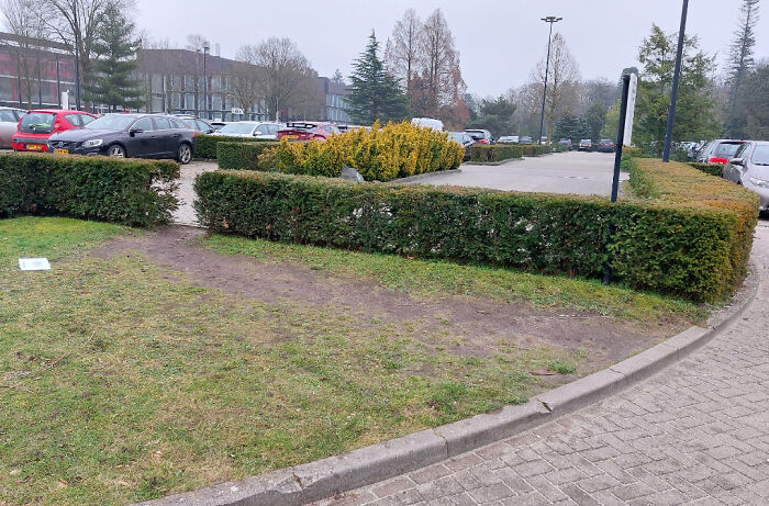Wait, People Just Make Their Own Sidewalks? Here Are 94 Hilarious Desire Paths