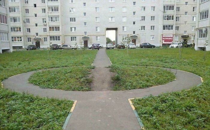 Wait, People Just Make Their Own Sidewalks? Here Are 94 Hilarious Desire Paths