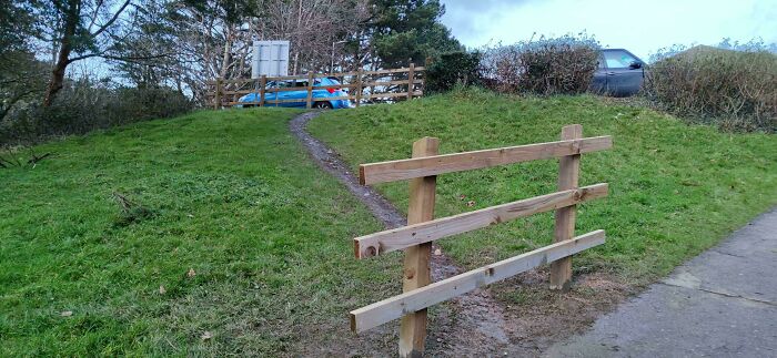 Wait, People Just Make Their Own Sidewalks? Here Are 94 Hilarious Desire Paths