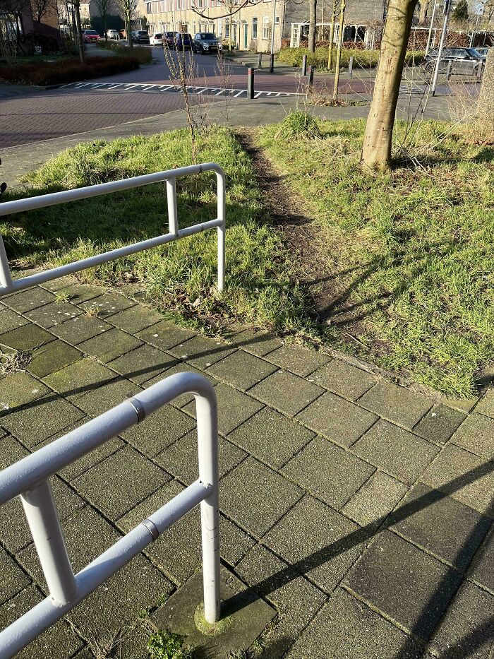 Wait, People Just Make Their Own Sidewalks? Here Are 94 Hilarious Desire Paths