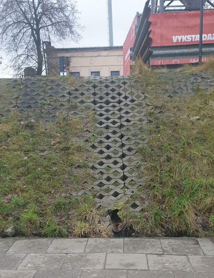 Wait, People Just Make Their Own Sidewalks? Here Are 94 Hilarious Desire Paths