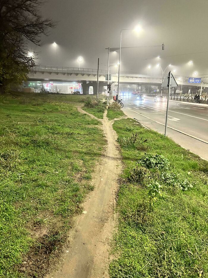 Wait, People Just Make Their Own Sidewalks? Here Are 94 Hilarious Desire Paths