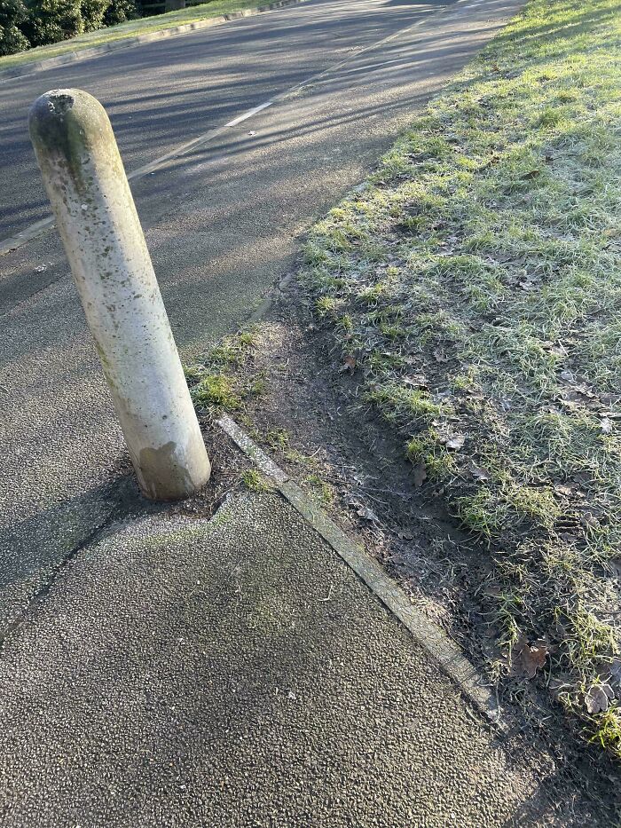 Wait, People Just Make Their Own Sidewalks? Here Are 94 Hilarious Desire Paths