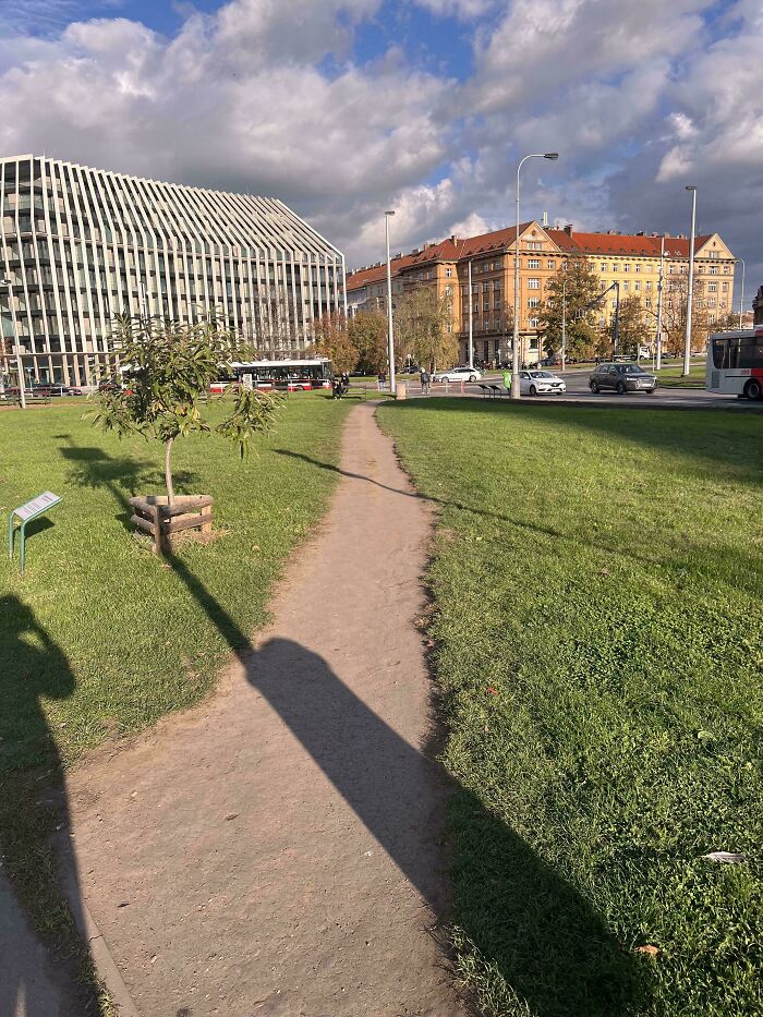 Wait, People Just Make Their Own Sidewalks? Here Are 94 Hilarious Desire Paths