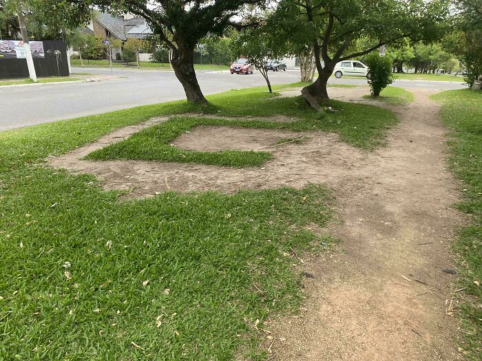Wait, People Just Make Their Own Sidewalks? Here Are 94 Hilarious Desire Paths