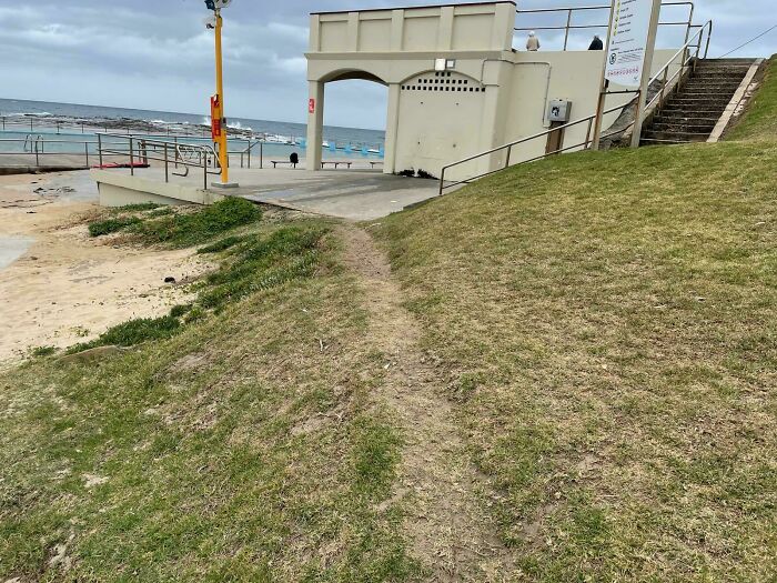 Wait, People Just Make Their Own Sidewalks? Here Are 94 Hilarious Desire Paths