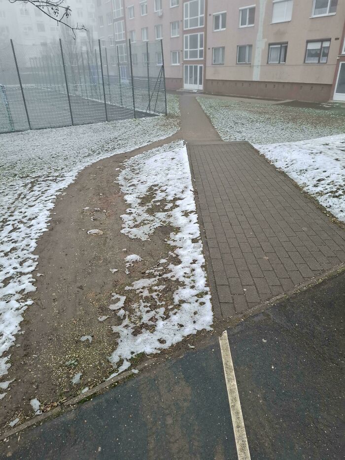 Wait, People Just Make Their Own Sidewalks? Here Are 94 Hilarious Desire Paths