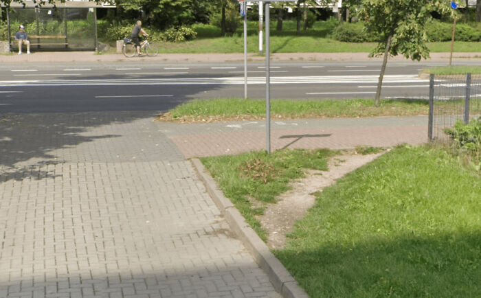 Wait, People Just Make Their Own Sidewalks? Here Are 94 Hilarious Desire Paths