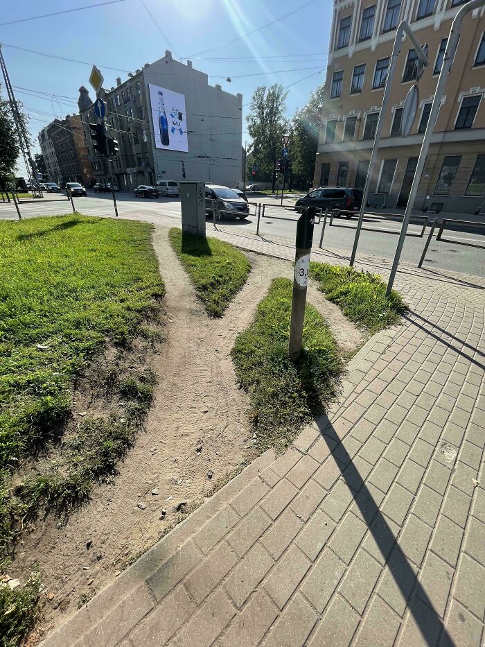 Wait, People Just Make Their Own Sidewalks? Here Are 94 Hilarious Desire Paths