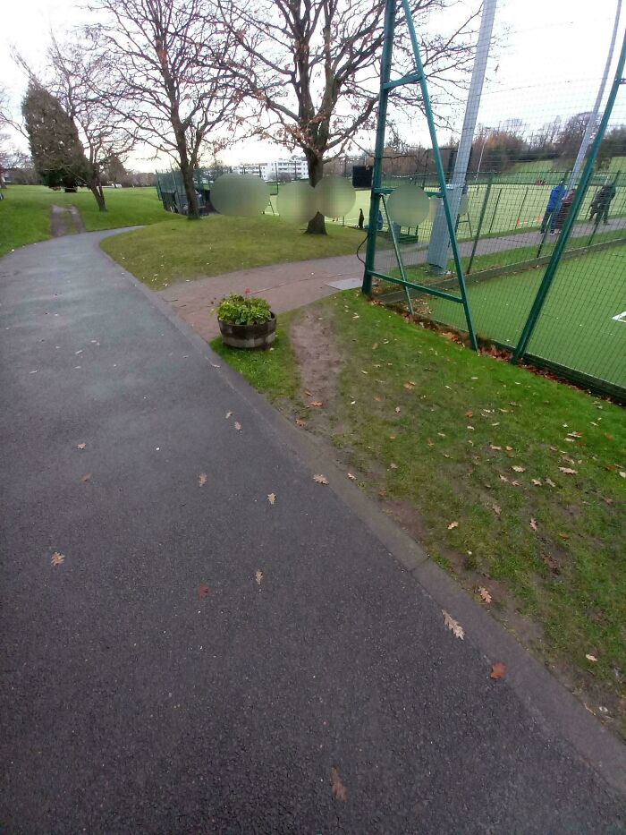Wait, People Just Make Their Own Sidewalks? Here Are 94 Hilarious Desire Paths
