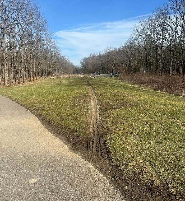 Wait, People Just Make Their Own Sidewalks? Here Are 94 Hilarious Desire Paths