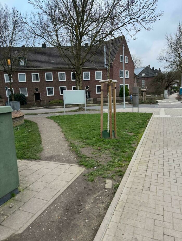 Wait, People Just Make Their Own Sidewalks? Here Are 94 Hilarious Desire Paths