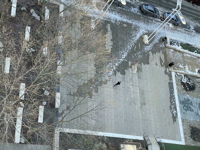 Wait, People Just Make Their Own Sidewalks? Here Are 94 Hilarious Desire Paths