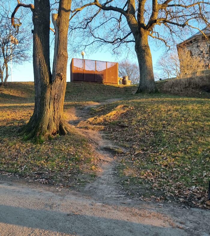 Wait, People Just Make Their Own Sidewalks? Here Are 94 Hilarious Desire Paths