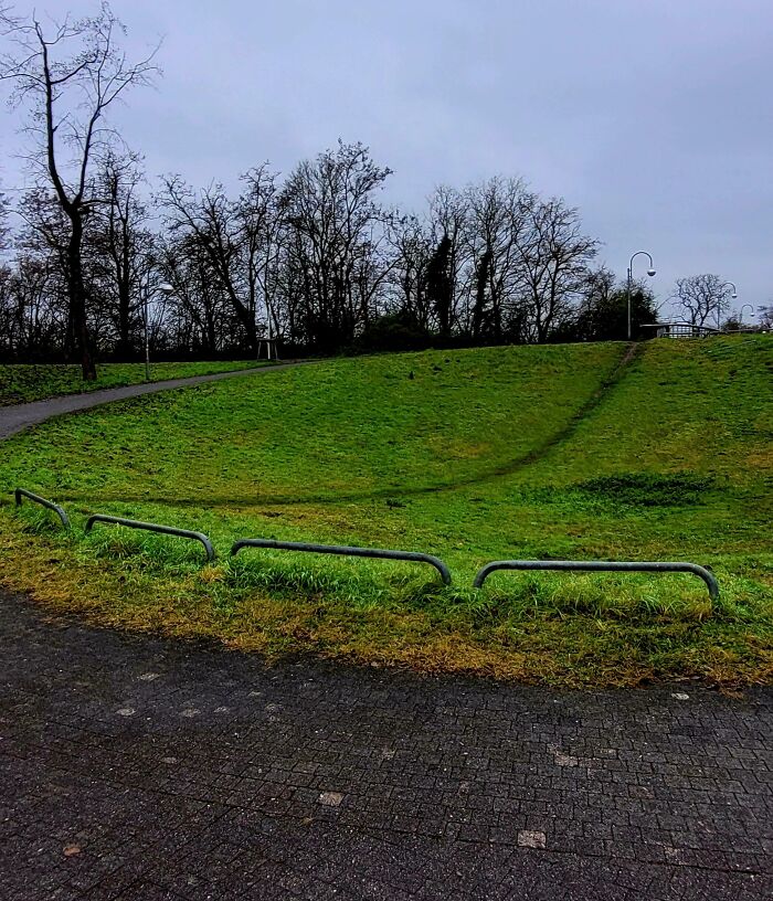 Wait, People Just Make Their Own Sidewalks? Here Are 94 Hilarious Desire Paths