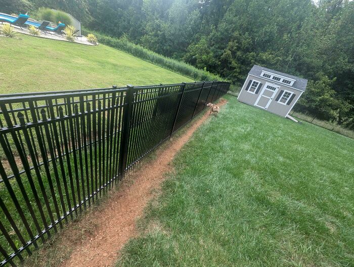 Wait, People Just Make Their Own Sidewalks? Here Are 94 Hilarious Desire Paths