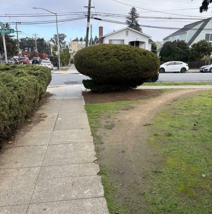 Wait, People Just Make Their Own Sidewalks? Here Are 94 Hilarious Desire Paths