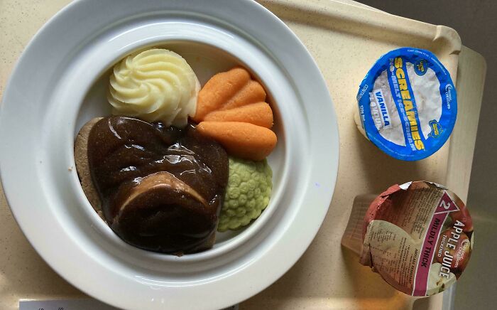 Australia’s Hospital Serves Up Pureed Meals That Look Like A Food Art Project