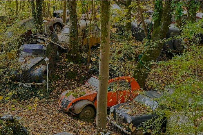 Vintage Car Graveyard In Western Germany – Time For A Classic Road Trip?