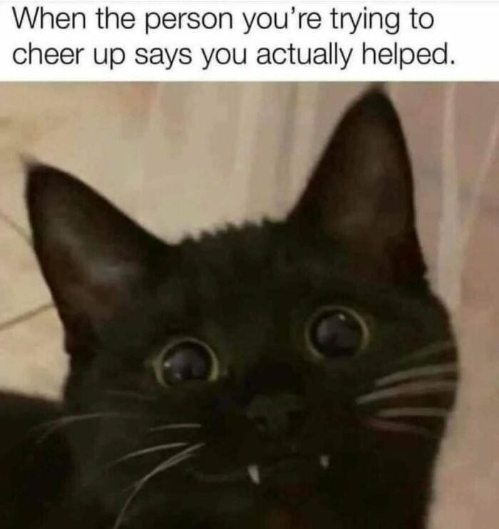 Mood Swings Captured in a Single Picture