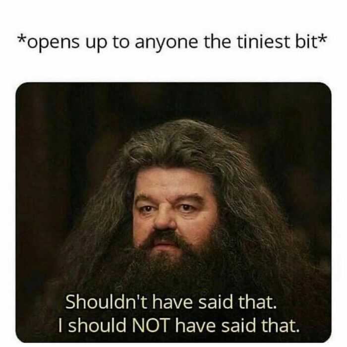 Memes That Feel Like Your Diary (But Funnier)