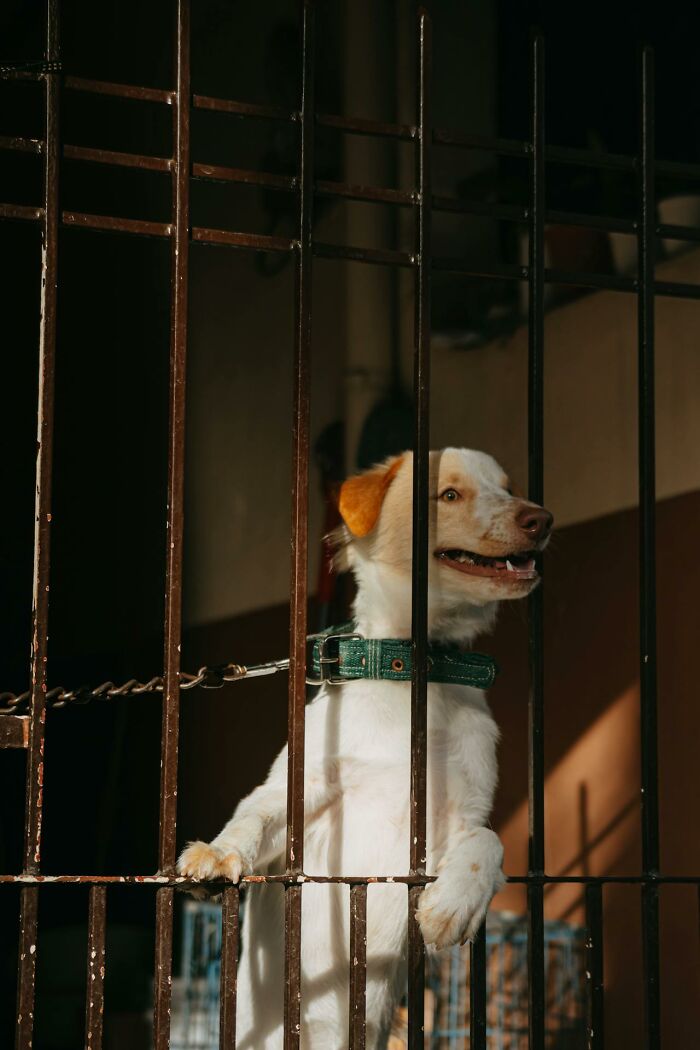 The Night Shift Adventures Nobody Warned You About