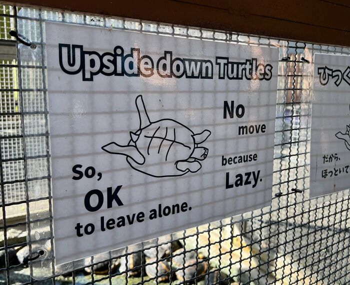"No Move Because Lazy" = Life Motto