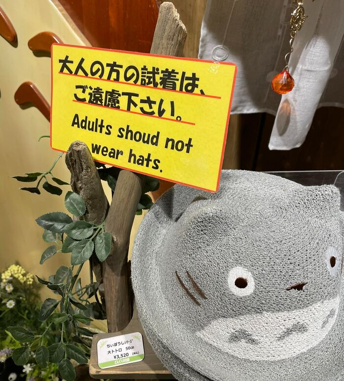 Oops! The Funniest Japanese Signs That Make Zero Sense