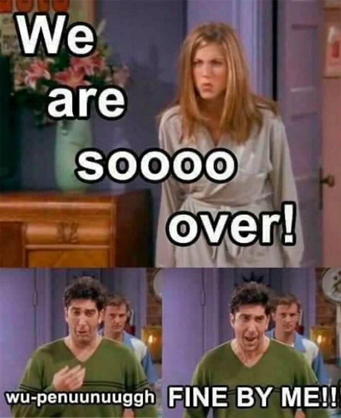 Friends Memes That Will Totally Crack You Up (No Binge Needed)