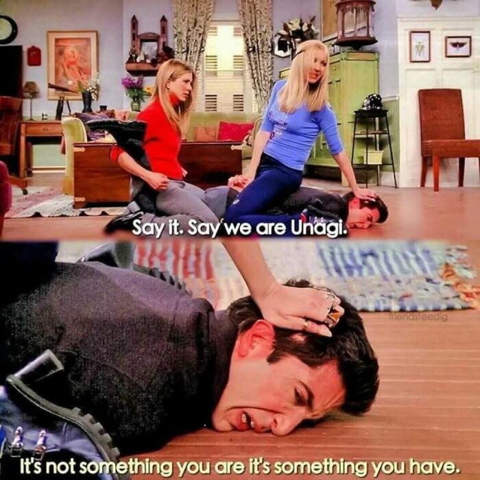 Friends Memes That Will Totally Crack You Up (No Binge Needed)