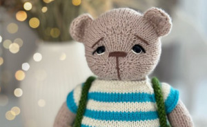 Meet the Teddy Bears That Are Basically Tiny Personalities