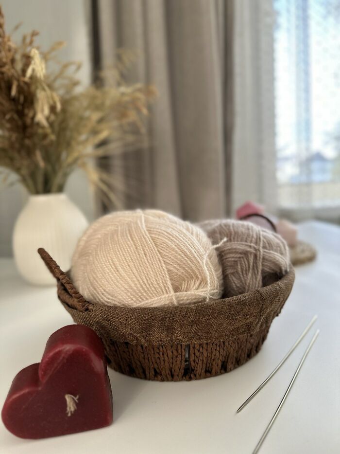 The Bear That’s Basically a Big Hug in Tiny Form